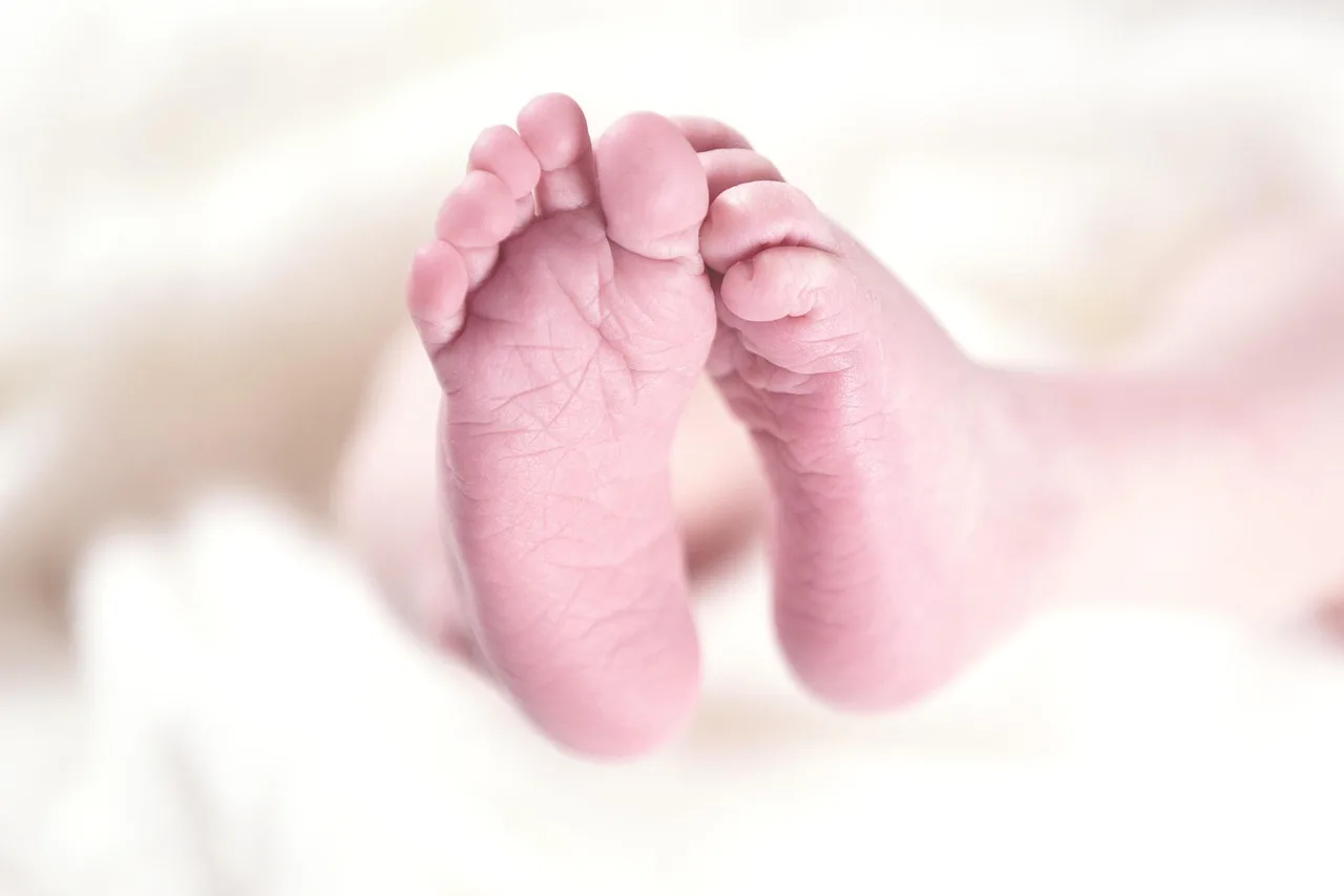 baby, feet, toes, sole, small, newborn, child, small feet, newborn baby, newborn child, baby feet, baby, baby, baby, baby, baby, feet, newborn. Birth announcements: how to read what families share