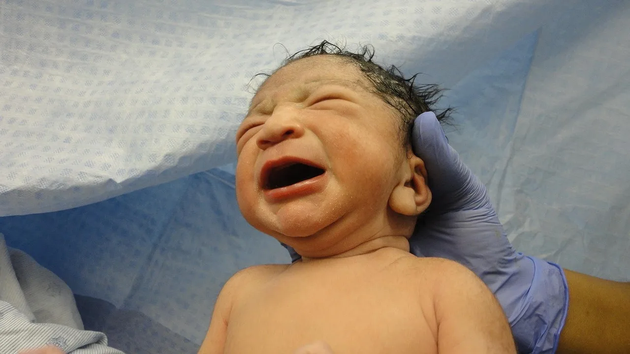 baby, birth, healthy baby, child, newborn, infant, born, care, healthy, boy, delivery, new baby, hospital, medical, newborn baby, childbirth, healthcare, maternity, family, motherhood, labor, mother, life, parent, mom, birth, birth, birth, birth, birth, born, hospital, hospital. Birth announcements privacy: details editors should omit