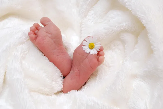 feet, baby, birth, child, blanket, newborn, born, infant, small, human, small feet, baby feet, newborn baby, baby, baby, baby, baby, baby, birth. Why celebrity children facts lose their source