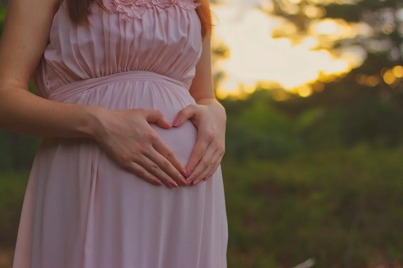 infant, pregnant, woman, motherhood, beauty, pregnant, pregnant, pregnant, pregnant, pregnant. Celebrity pregnancies: who, when and why it matters