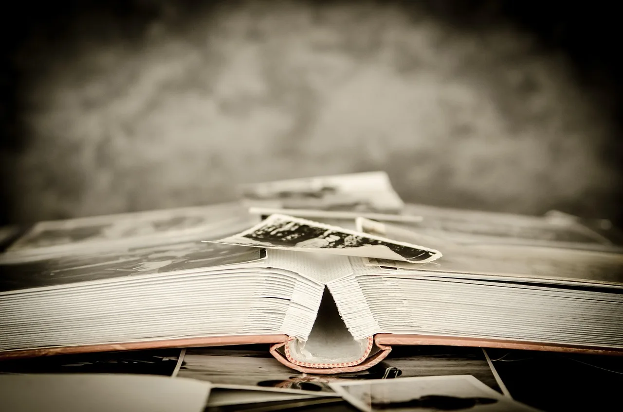 photos, album, old, photo album, photographer, memory, nostalgia, souvenir, photography, pictures, photographs, photos, album, photo album, photo album, photo album, memory, memory, memory, memory, memory. Family trees updates: questions to ask before you edit