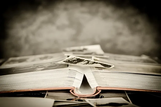 photos, album, old, photo album, photographer, memory, nostalgia, souvenir, photography, pictures, photographs, photos, album, photo album, photo album, photo album, memory, memory, memory, memory, memory. Family trees updates: questions to ask before you edit